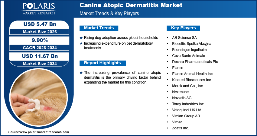 Canine Atopic Dermatitis Market Size Worth USD 11.67 Billion By 2034 | CAGR: 9.90%